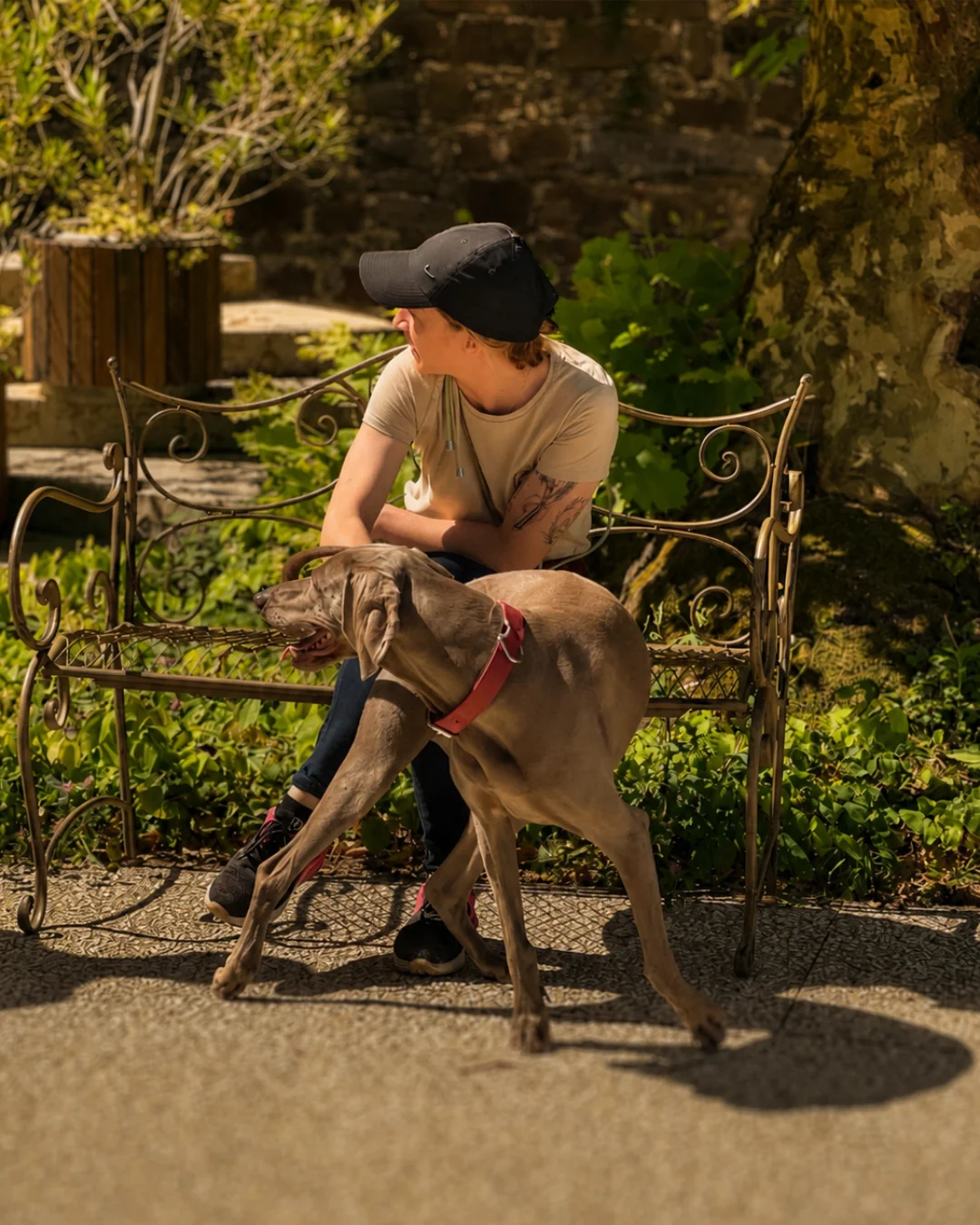 Dog sitter Gorizia a eventi — fotografia professionale di brand per Kevin Cianci