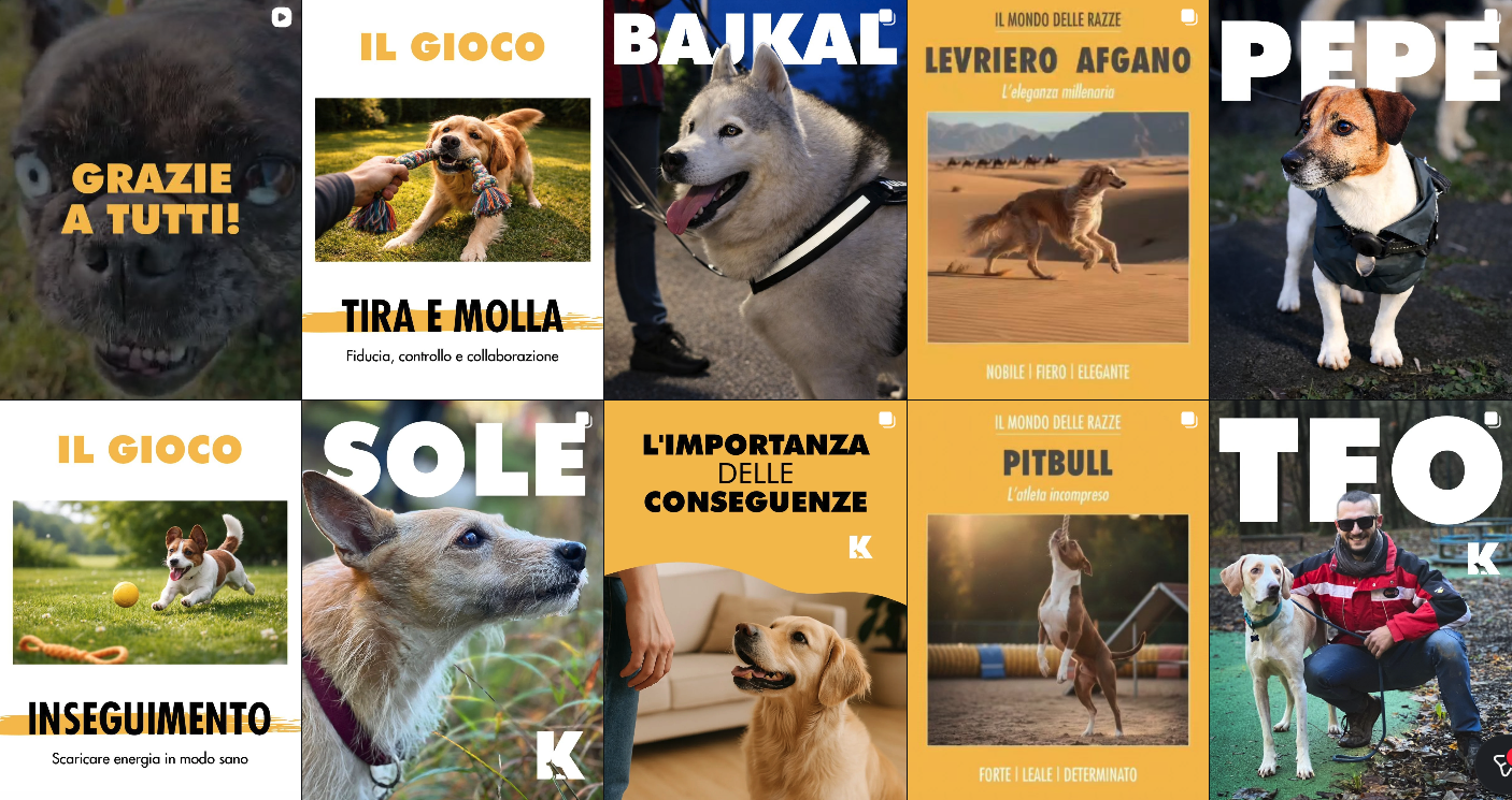 profilo Instagram Kevin dog sitter educatore cinofilo Gorizia - Sibari Bonato