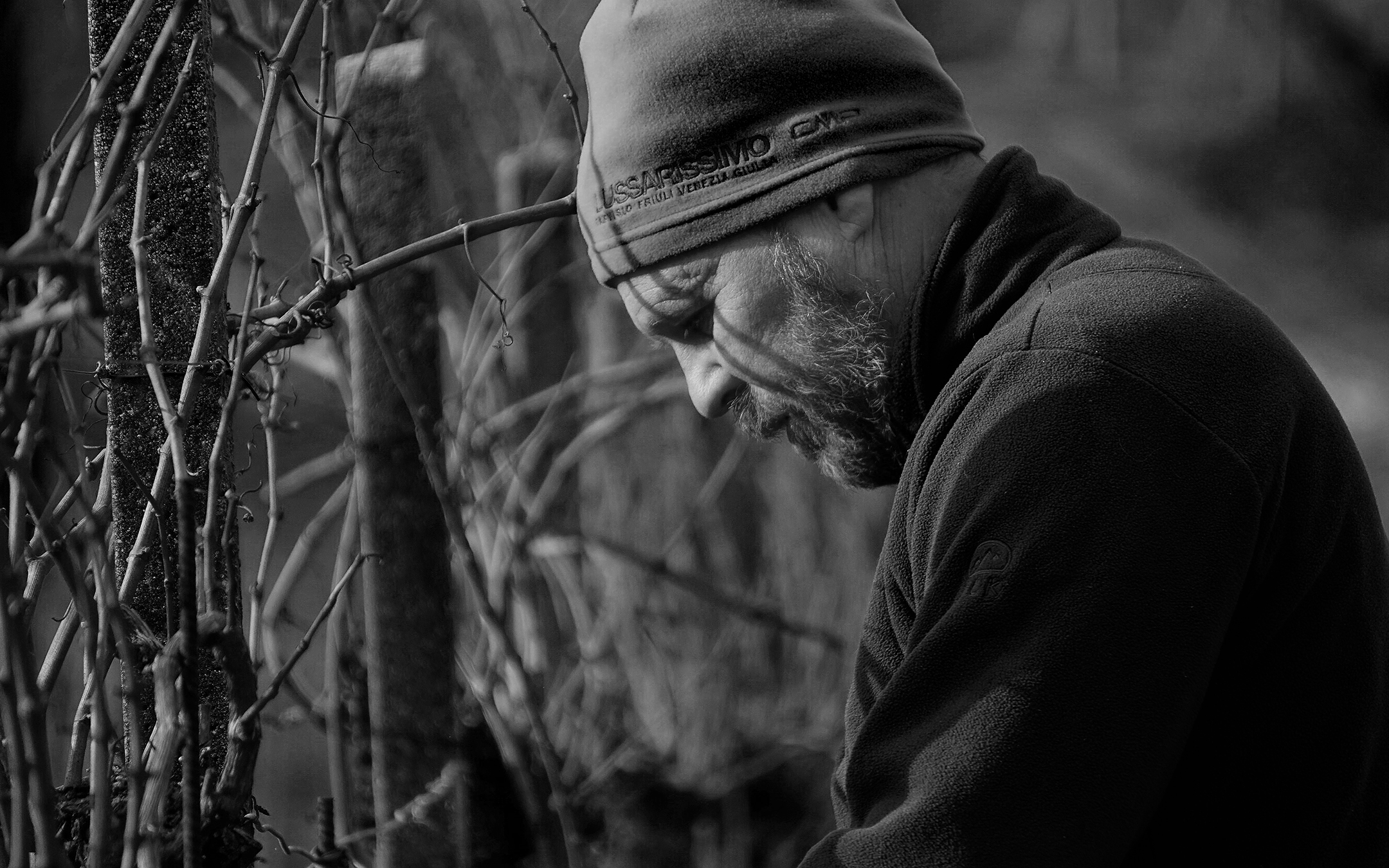 ritratto viticoltore cantina Korsic Collio Gorizia - fotografia Sibari Bonato